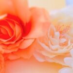 大丸松坂屋で人気のカタログギフトなら フリーチョイスギフト カタログギフトナビ